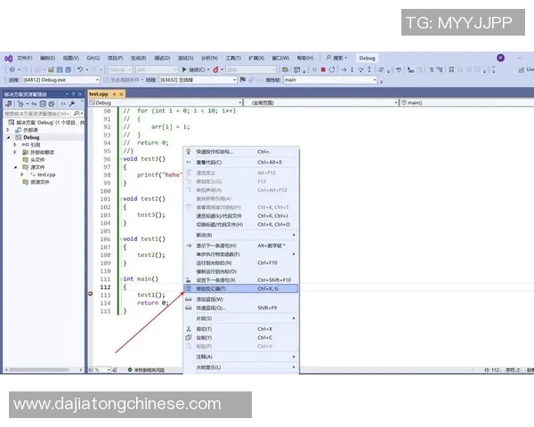 深入浅出掌握vs自拉放大技巧的全面教程与实用案例分析