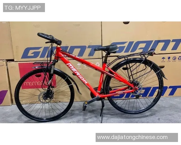 探寻美利达野狼的骑行魅力与性能优势，畅享无与伦比的骑行体验