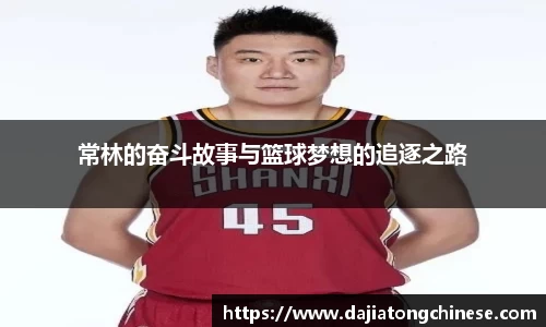 球速体育网址